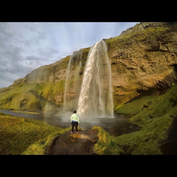 Meet your Posher, Priscilla - Picture 1 of 4